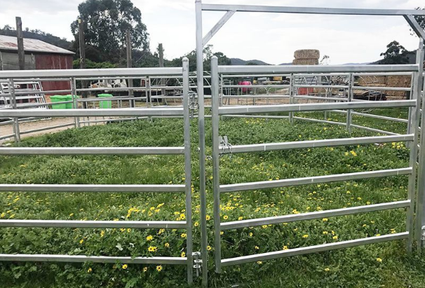 Cattle Yards