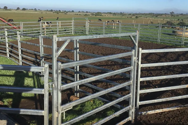 Custom Gate for Cattle