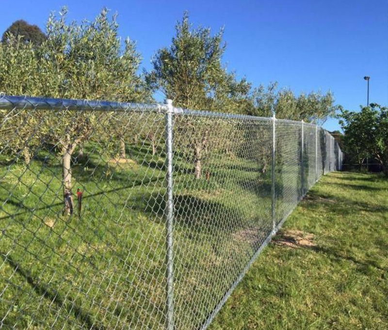 Chain Link Fence