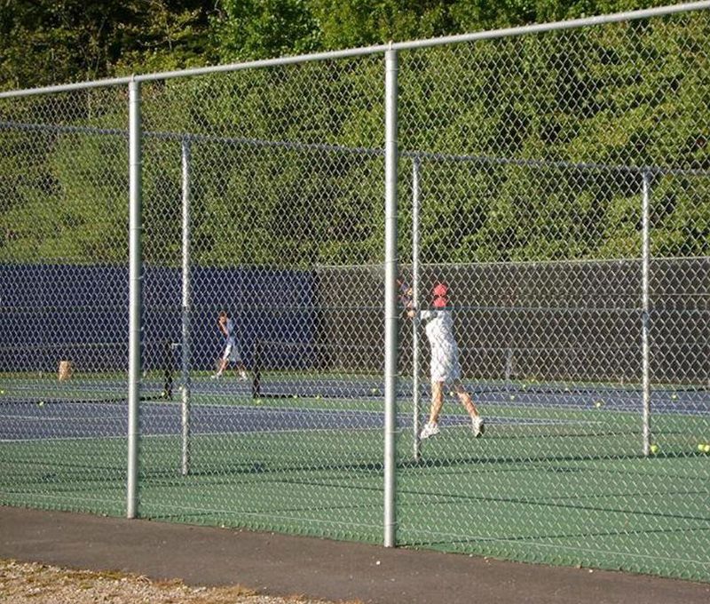 Chain Link Fence