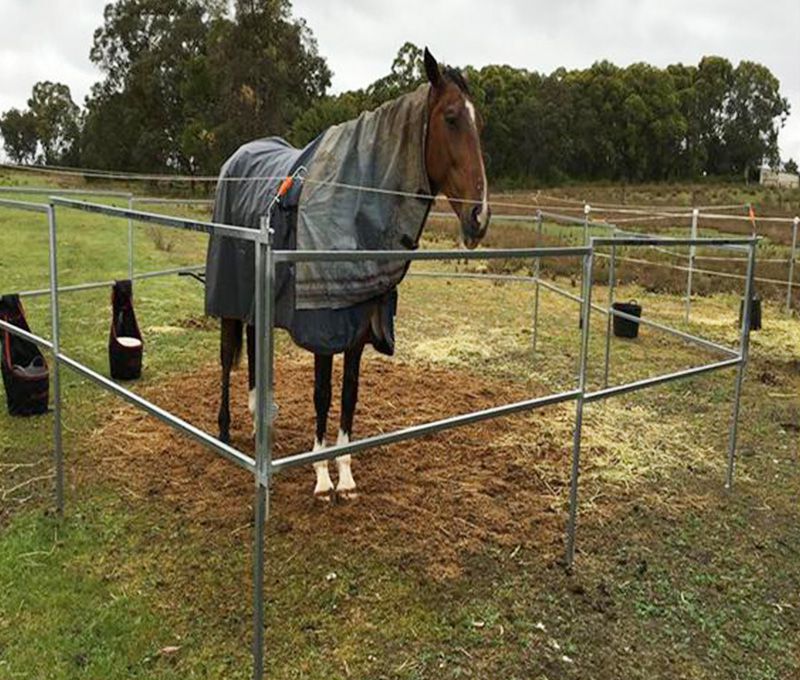 Horse Float Panel