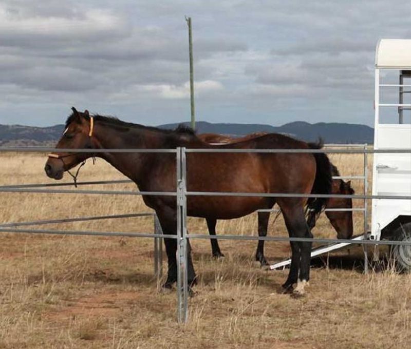 Horse Float Panel