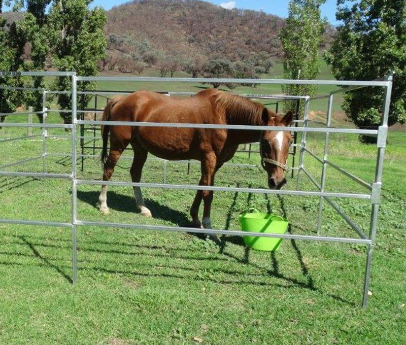 Horse Float Panel