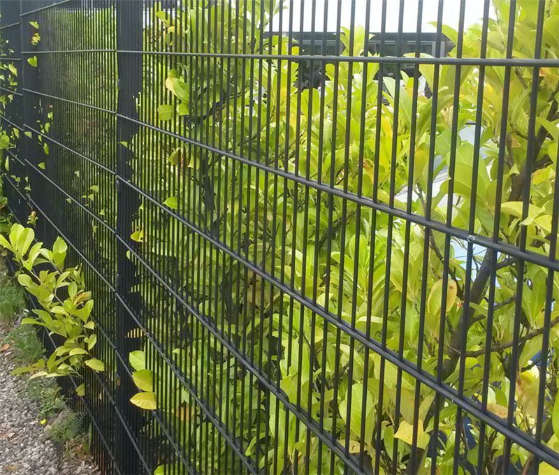 868 656 Twin Wire Fence