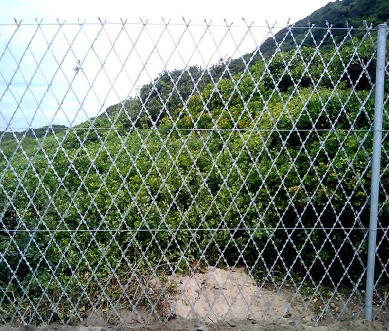 Welded Razor Wire Fence