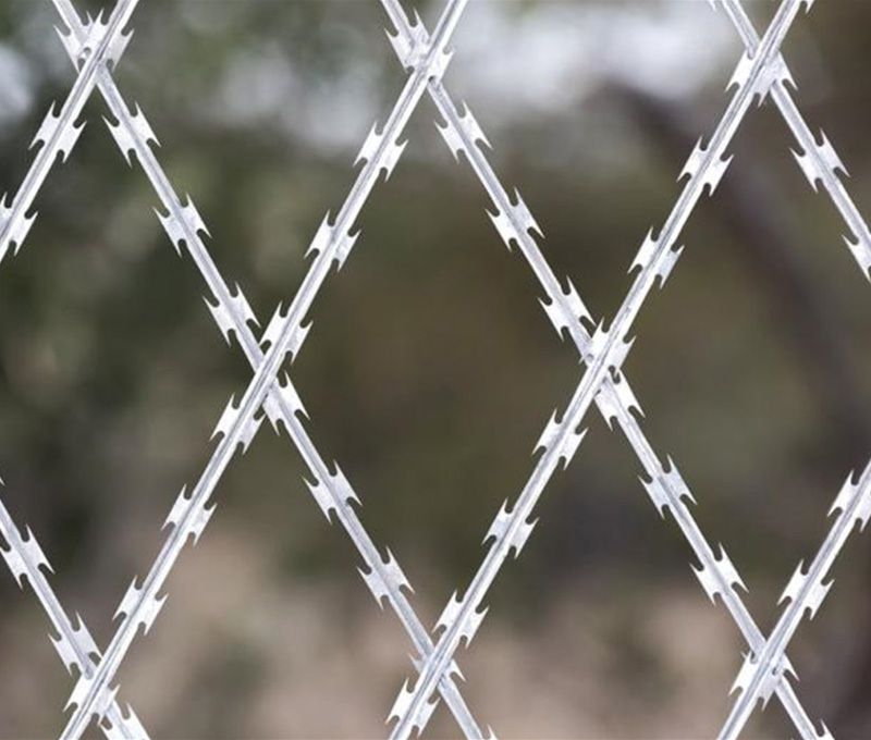 Welded Razor Wire Fence