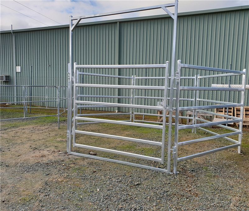 Cattle Gate