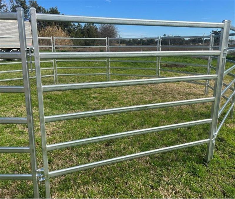 Cattle Panel