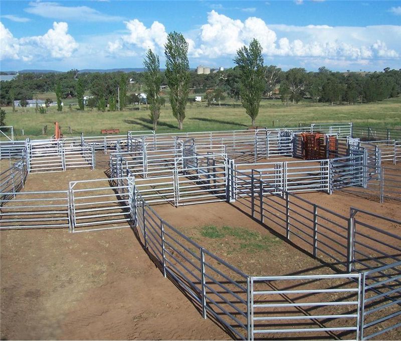 Cattle Yard