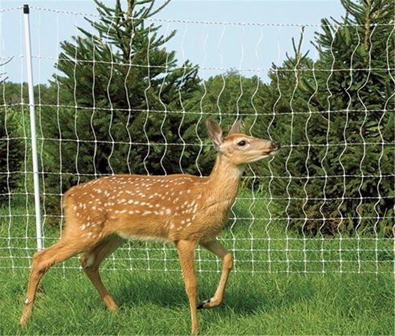 Deer Fencing