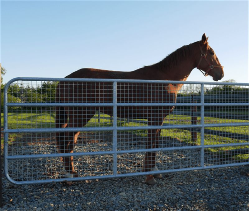 Horse Gate