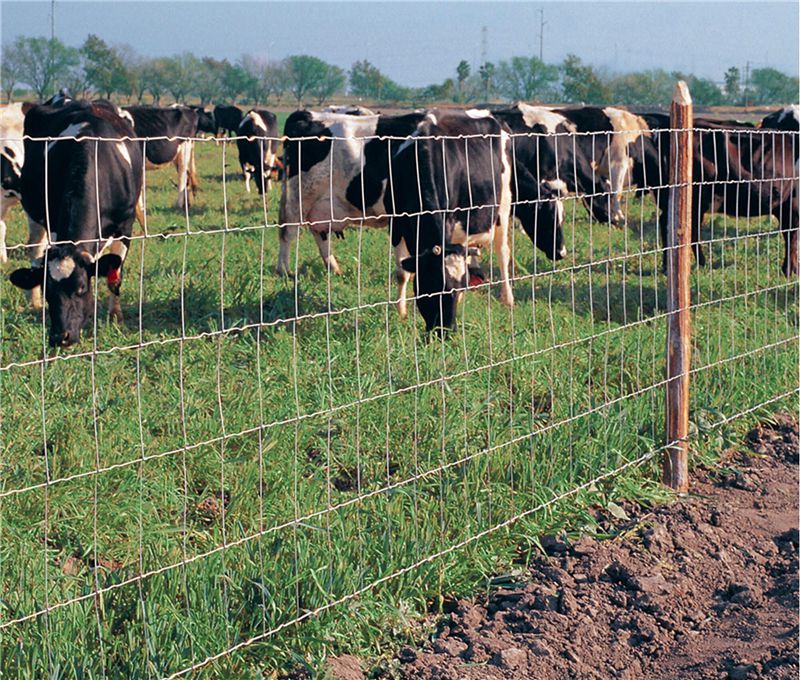 Farm Fence