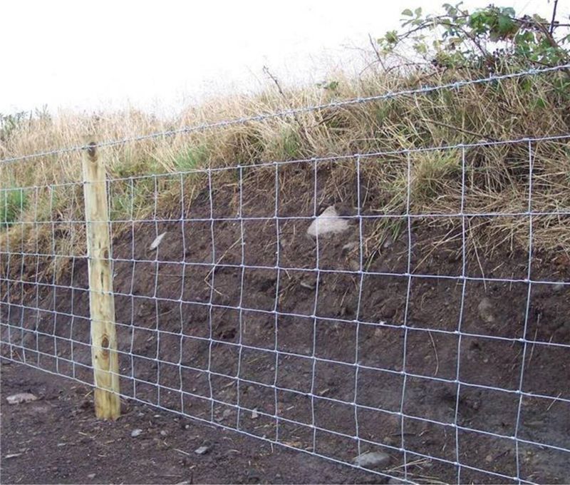 Farm Fence