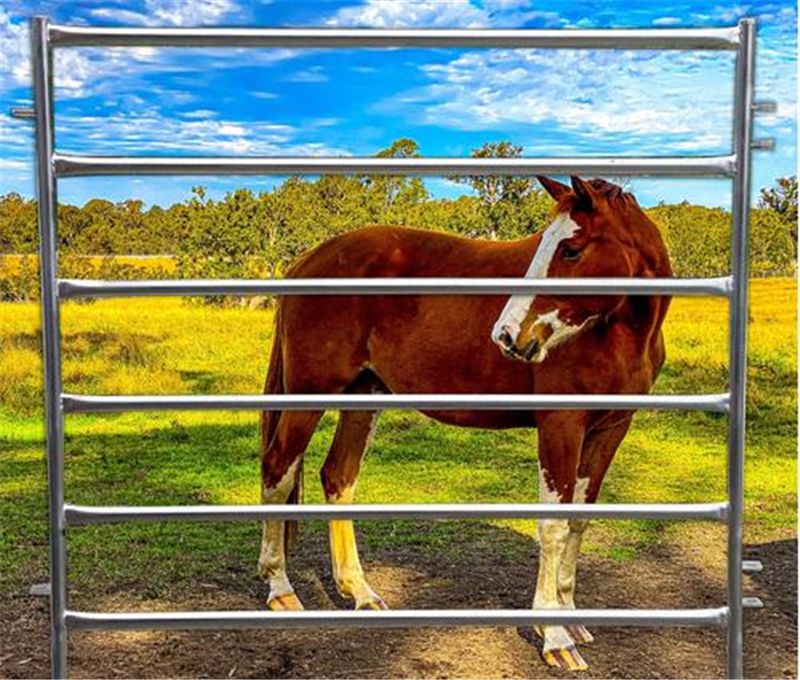 Horse Panel