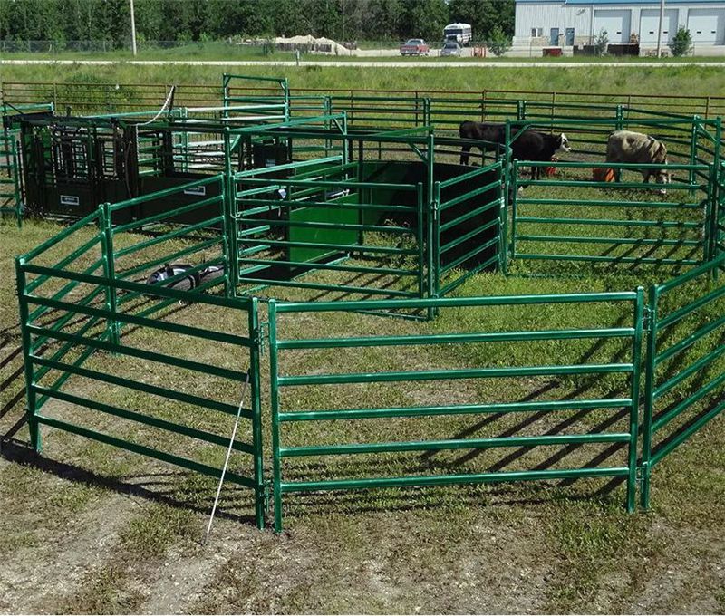 Cattle Corral Panel