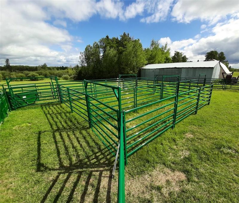 Cattle Corral Panel