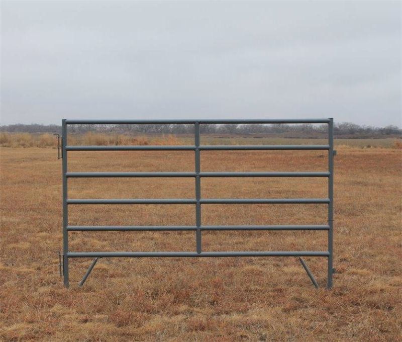 Cattle Corral Panel