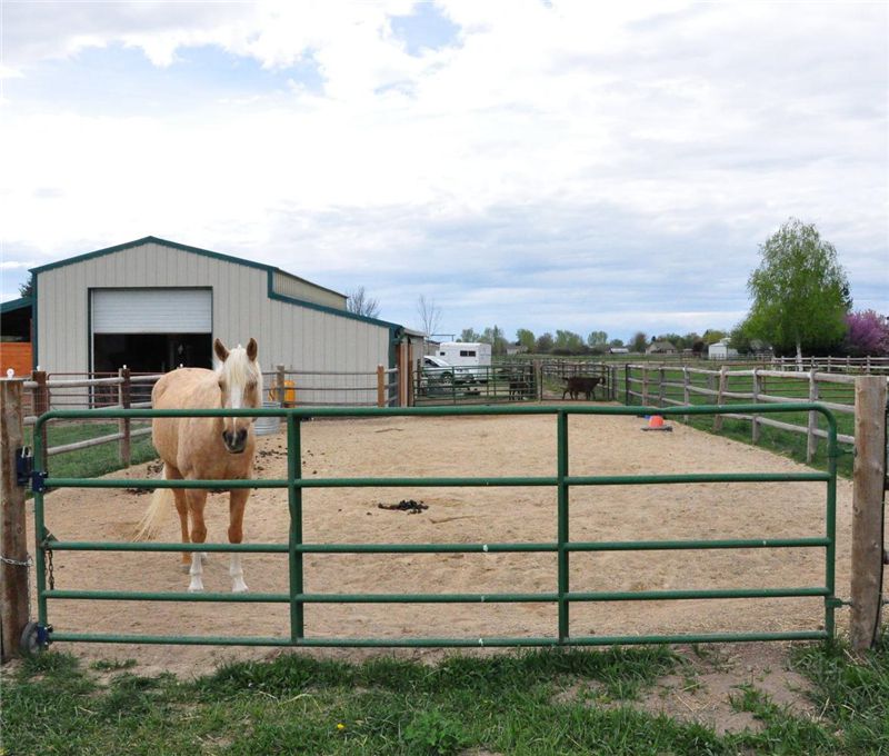 Equine Panel