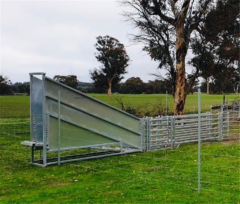 Sheep Loading Ramp