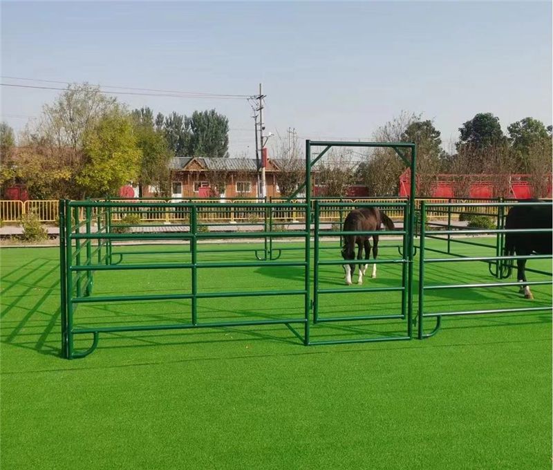 Horse Corral Panel