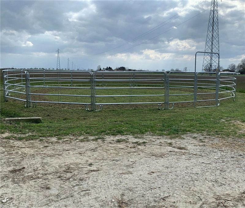 Horse Corral Panel