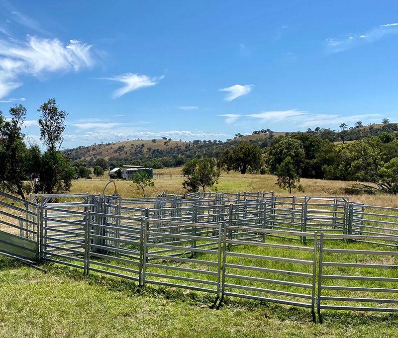 Cattle Yard