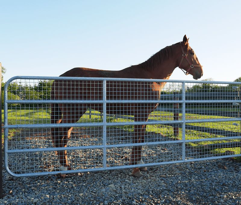 Mesh Farm Gate